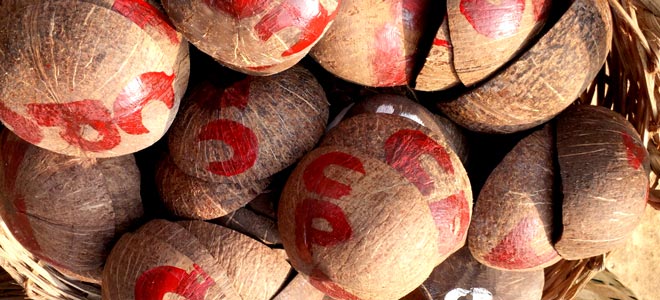 Coconut shells for soup and drinking 